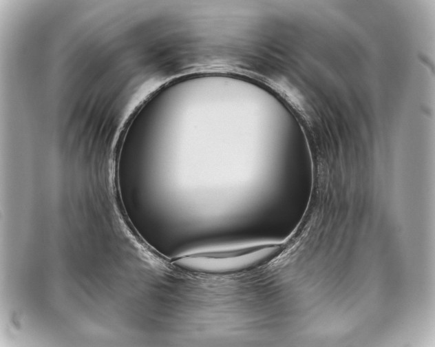 X0000098101424200804181412