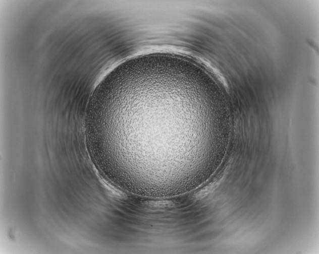 X0000098101425200804181412