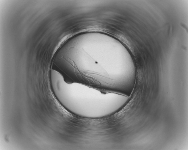 X0000098101428200804181413