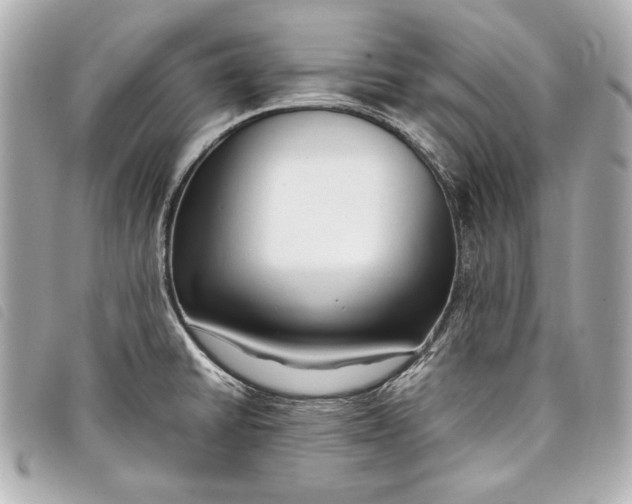 X0000098101430200804181413
