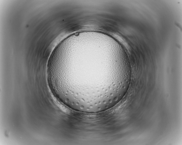 X0000098101431200804181413