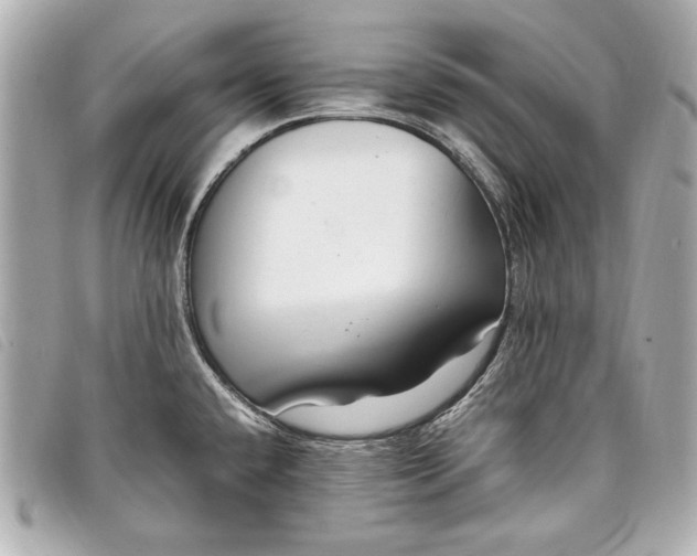 X0000098101432200804181413