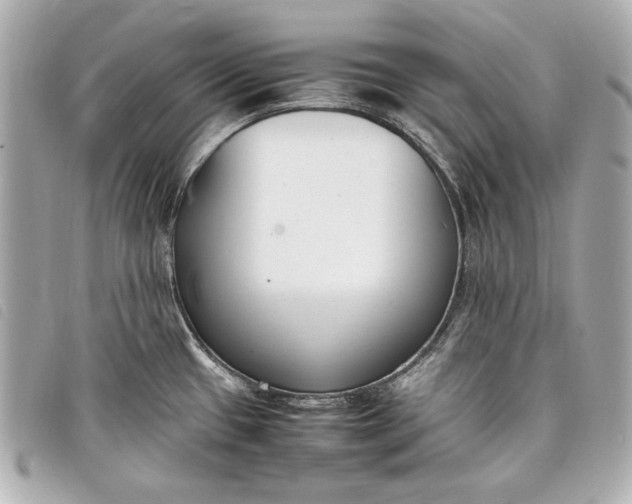X0000098101433200804181413