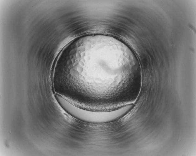 X0000098101434200804181413