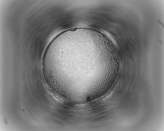 X0000098101435200804181413