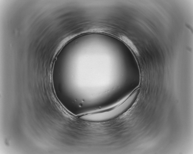 X0000098101436200804181413