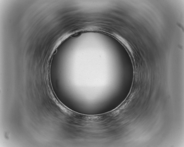 X0000098101437200804181413