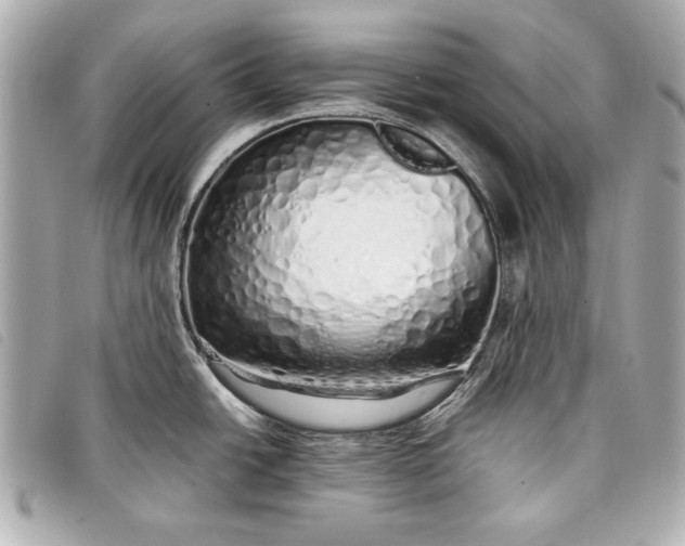 X0000098101438200804181413