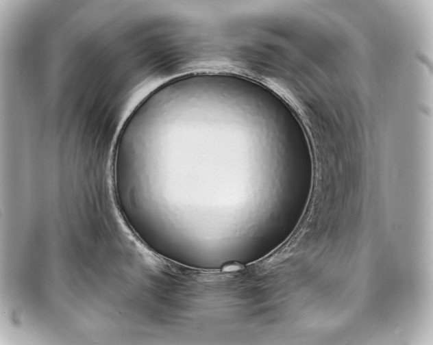 X0000098101440200804181413