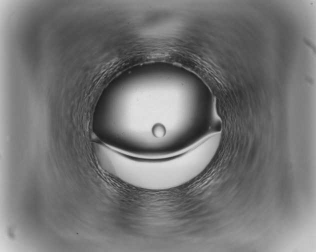 X0000098101441200804181412