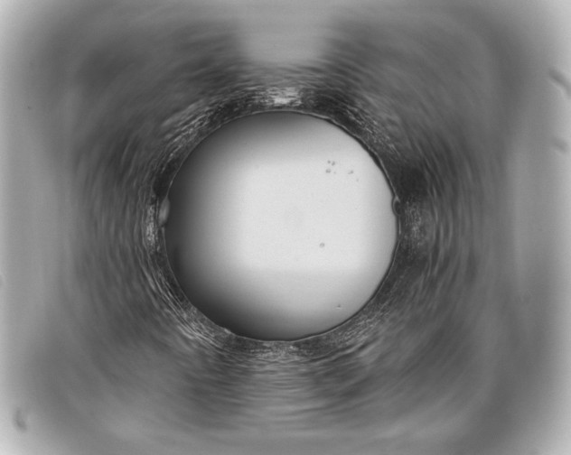 X0000098101442200804181412