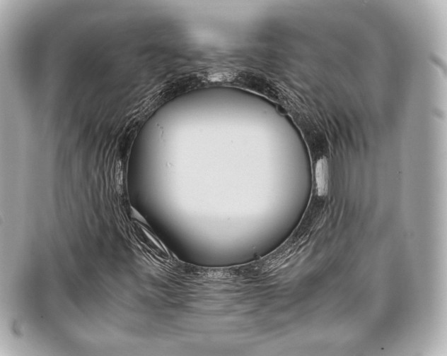 X0000098101443200804181412