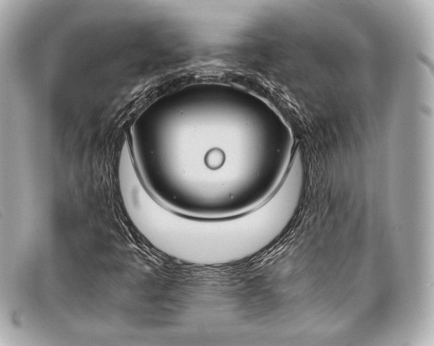 X0000098101445200804181412
