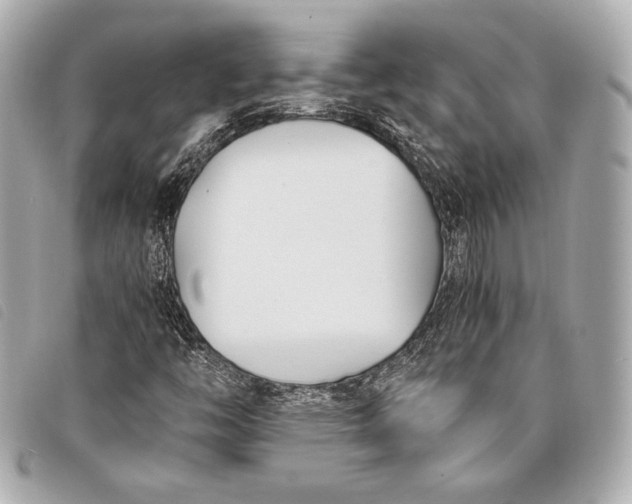 X0000098101446200804181412