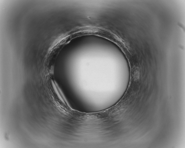 X0000098101448200804181412