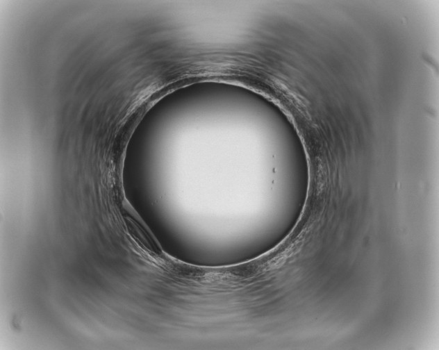 X0000098101449200804181412