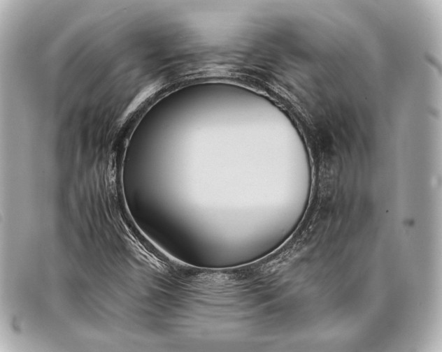 X0000098101450200804181412