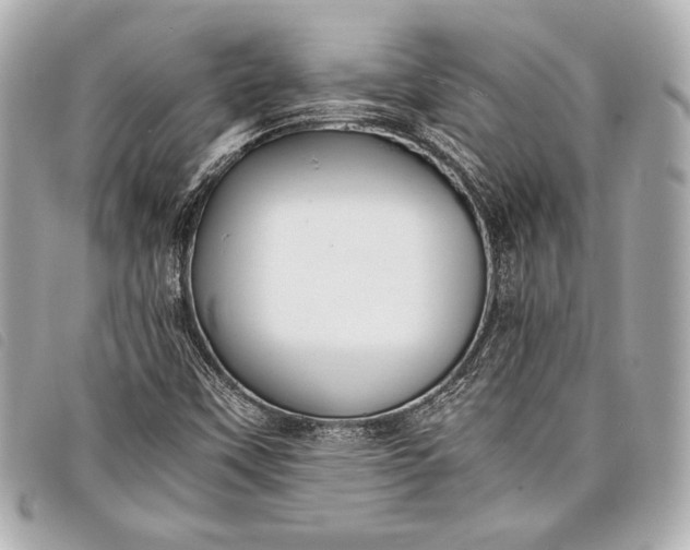 X0000098101451200804181412
