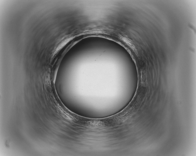 X0000098101452200804181412