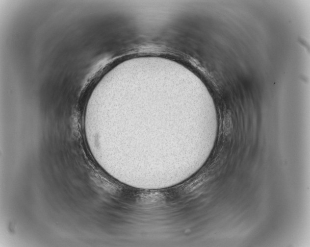 X0000098101454200804181411