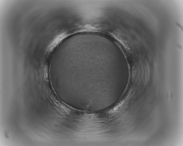 X0000098101455200804181411