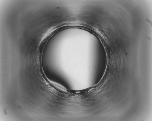 X0000098101456200804181411