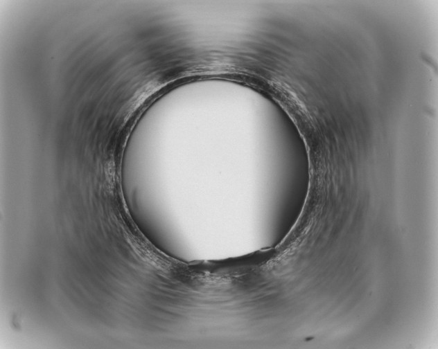 X0000098101457200804181411