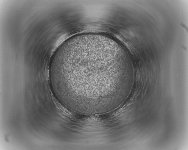 X0000098101459200804181411
