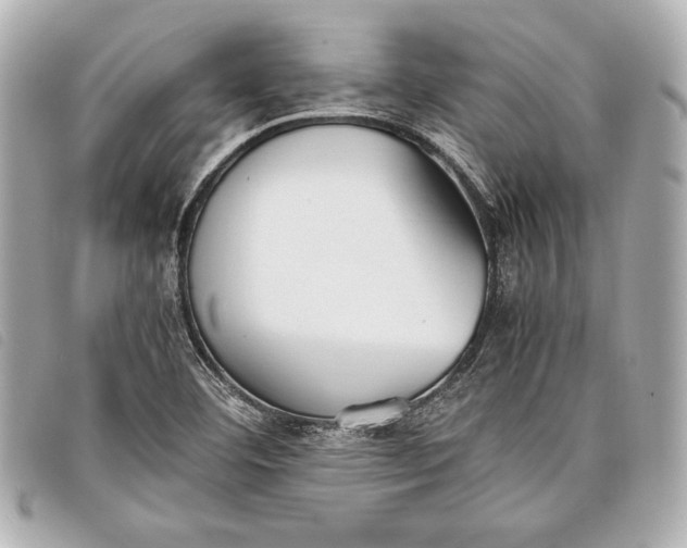 X0000098101460200804181411