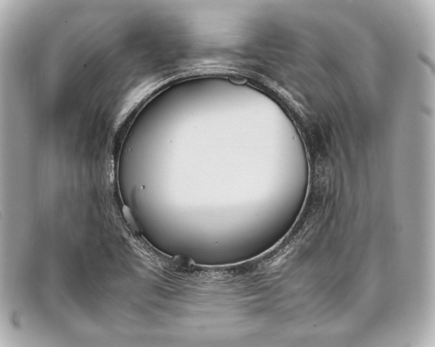 X0000098101461200804181411