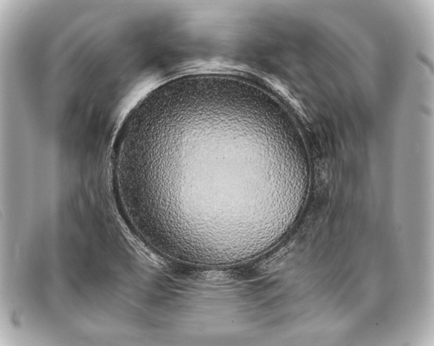 X0000098101463200804181411