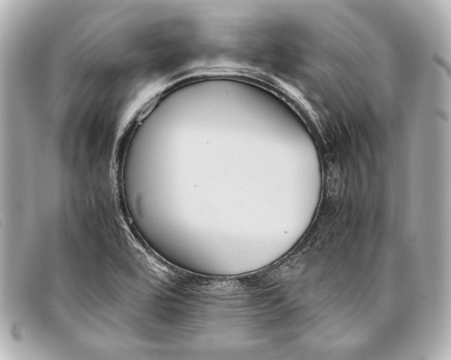 X0000098101464200804181411