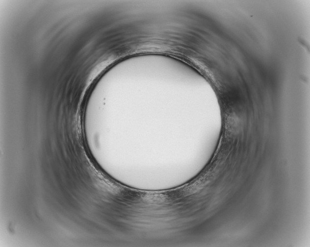 X0000098101466200804181411