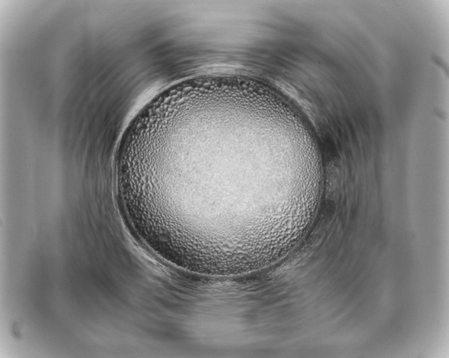 X0000098101467200804181411