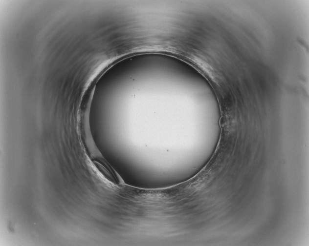 X0000098101468200804181411