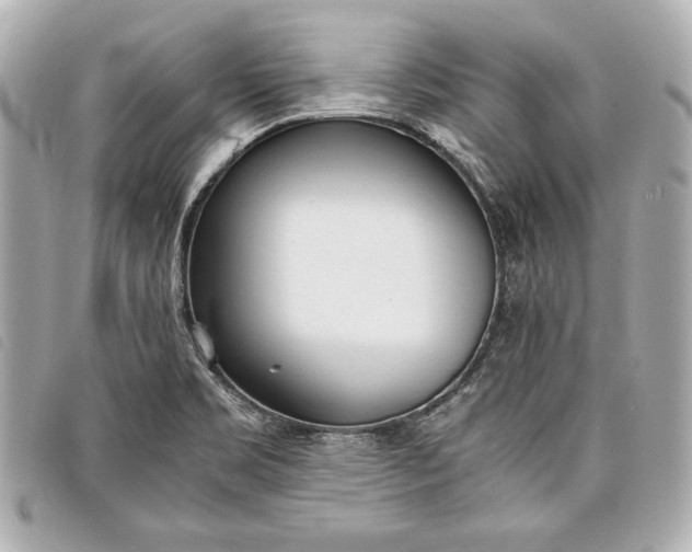 X0000098101469200804181411