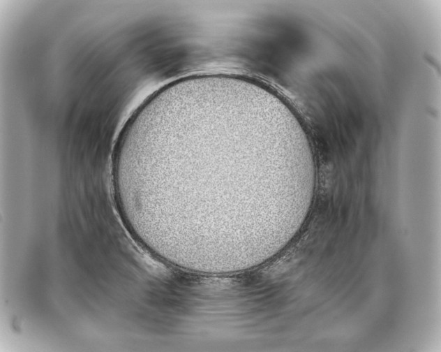 X0000098101470200804181411