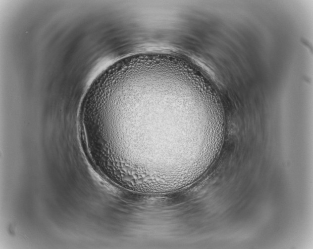 X0000098101471200804181411