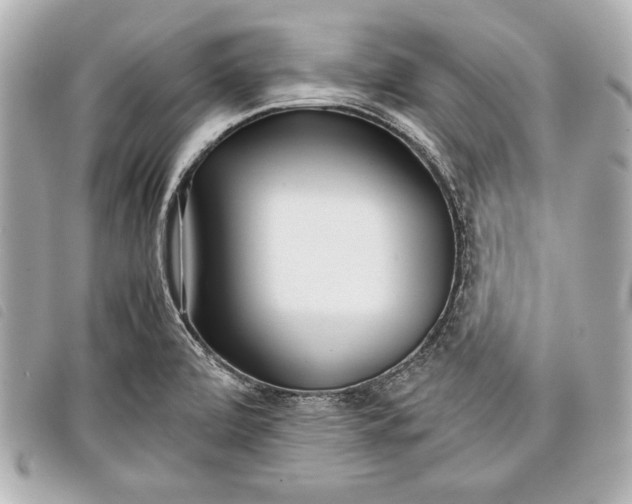 X0000098101472200804181411