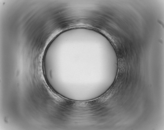 X0000098101474200804181411