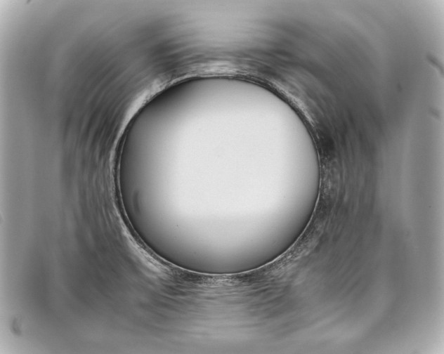 X0000098101475200804181411