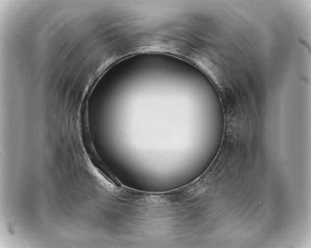 X0000098101476200804181411
