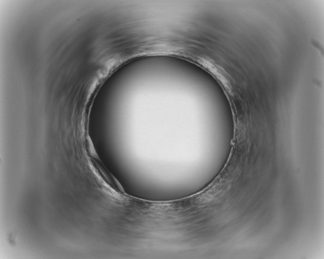 X0000098101477200804181411