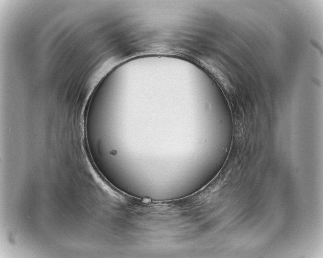 X0000098101479200804181411