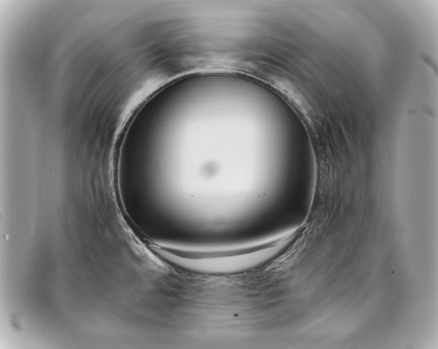 X0000098101480200804181411