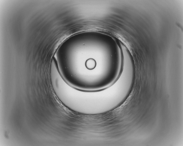 X0000098101481200804181411