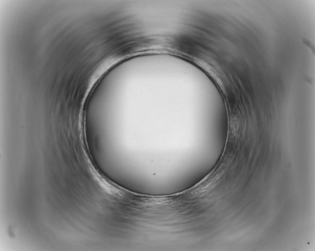 X0000098101482200804181411
