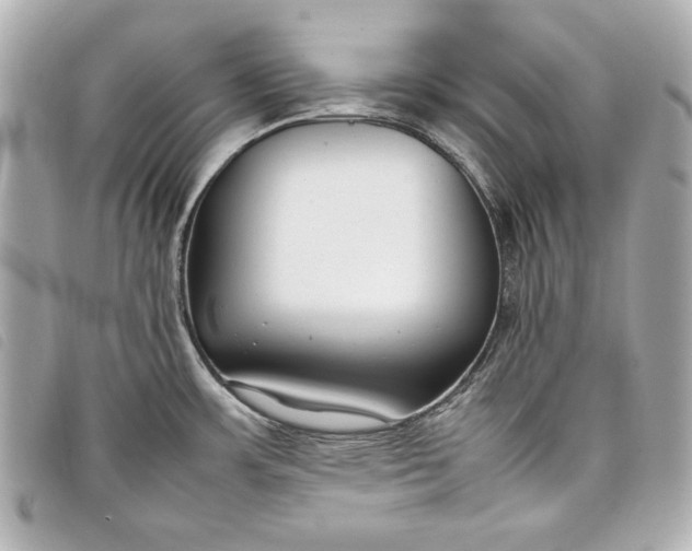 X0000098101483200804181411