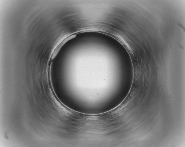 X0000098101484200804181411
