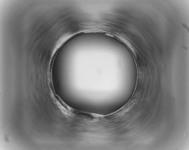 X0000098101485200804181411
